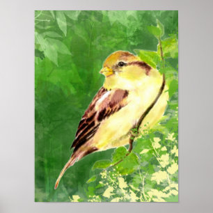 Poster Watercolor Painting of Sparrow Bird in Tree