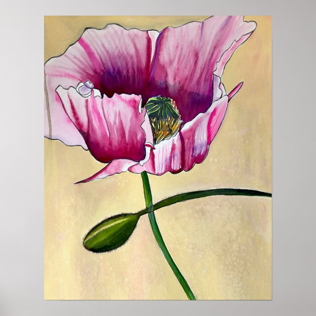 Poster Watercolor pink poppy art flower (Devant)