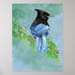 Poster Watercolor Stellar Jay Bird Nature
