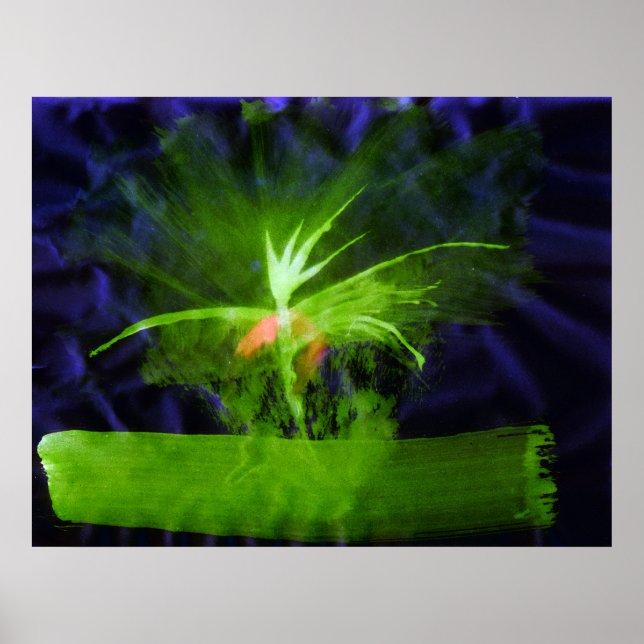 Poster WDV - 068 - Fleur (Devant)
