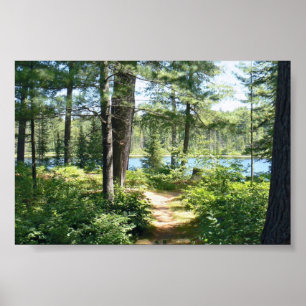 Poster "Weg zum See"