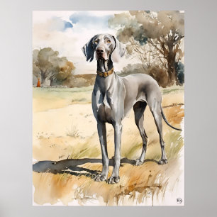 Poster Weimaraner - Art Chien Imprimer