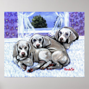 Poster Weimaraner Chien Chien Portrait