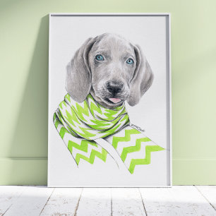 Poster Weimaraner cute puppy with scarf Dog portrait art