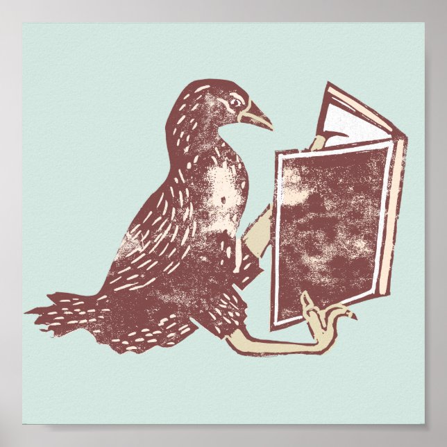 Poster Weka Bird Lire un livre (Devant)