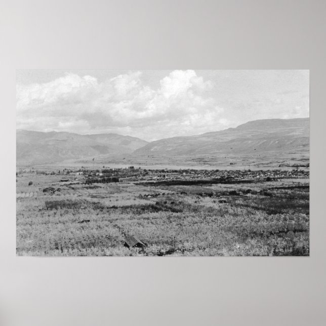 Poster Wenatchee, WA Town View et Orchard Photographie (Devant)