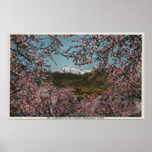 Poster Wenatchee, WAView de cachemire de Mt. avec des