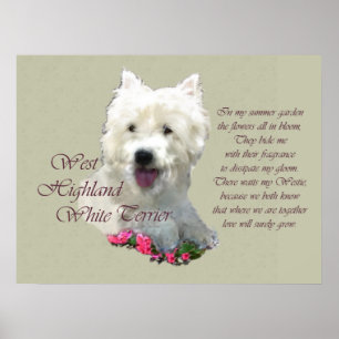 Poster West Highland White Terrier Art Prints