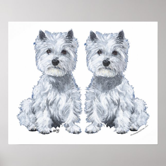 Poster West Highland White Terrier Twins ! (Devant)