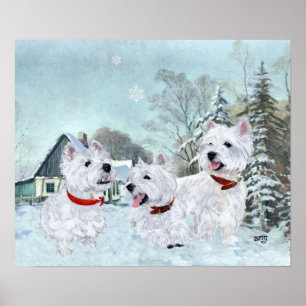 Poster West Highland White Terriers dans la neige