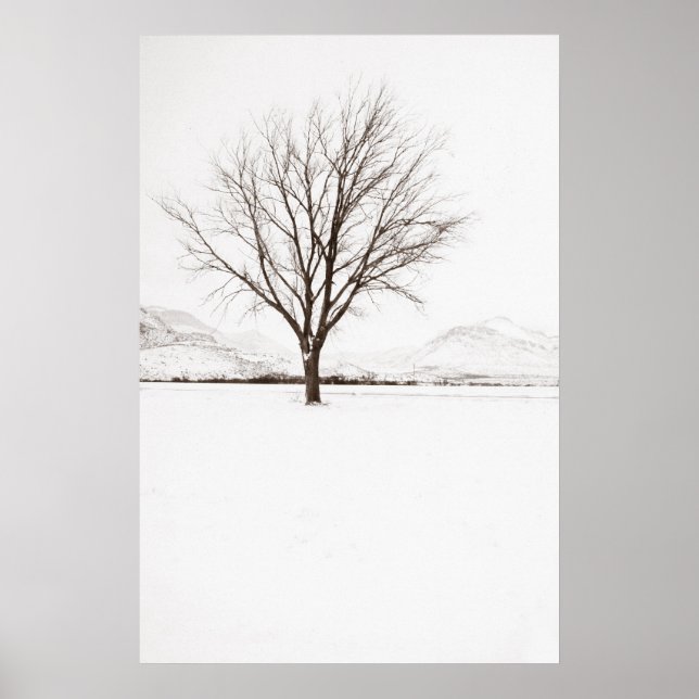 Poster West Texas BLizzard (Devant)