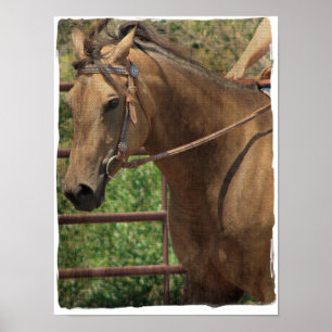 Poster Western Buckskin