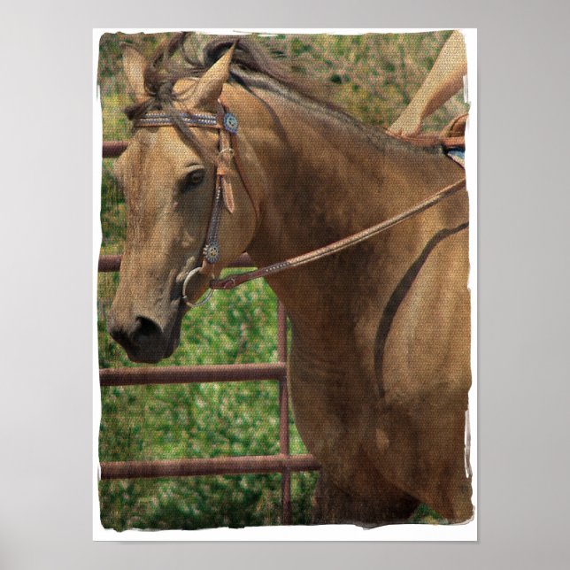 Poster Western Buckskin (Devant)