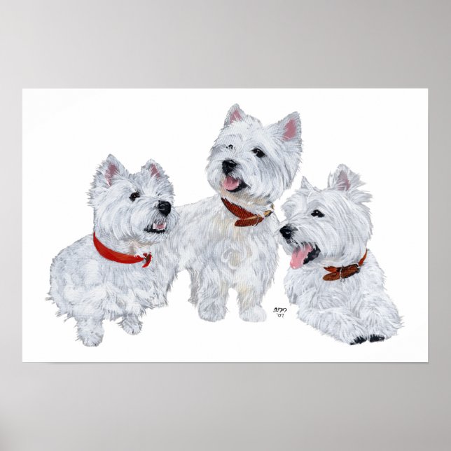 Poster Westie Conference (Devant)