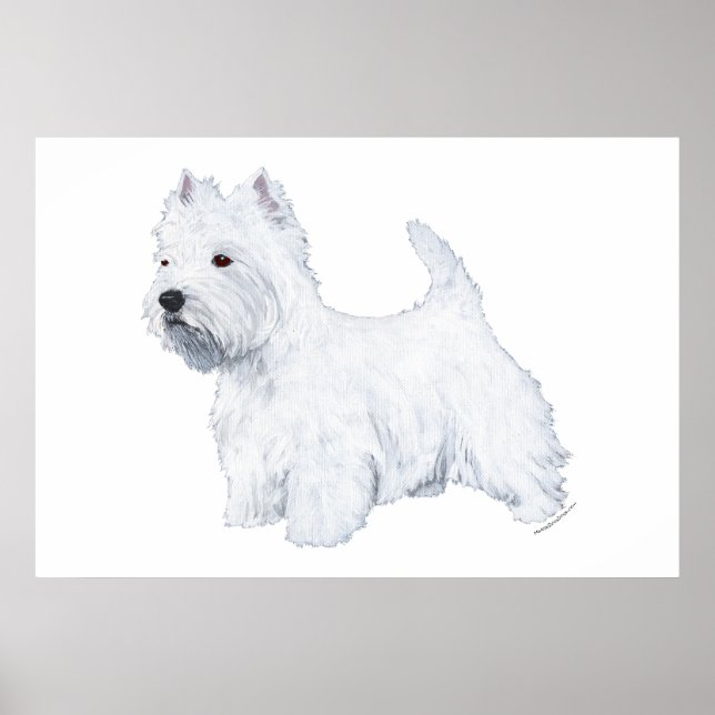 Poster Westie debout (Devant)