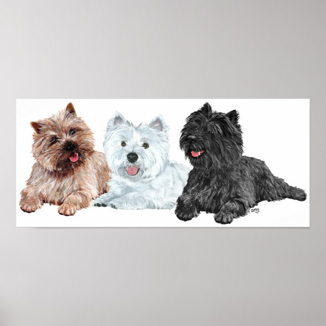Poster Westin avec deux Cairn Terriers (Devant)
