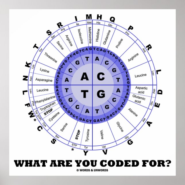 Poster What Are You Coded For ? (Amino Acid Wheel) (Devant)