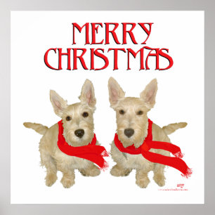 Poster Wheaten Scottish Terrier Noël