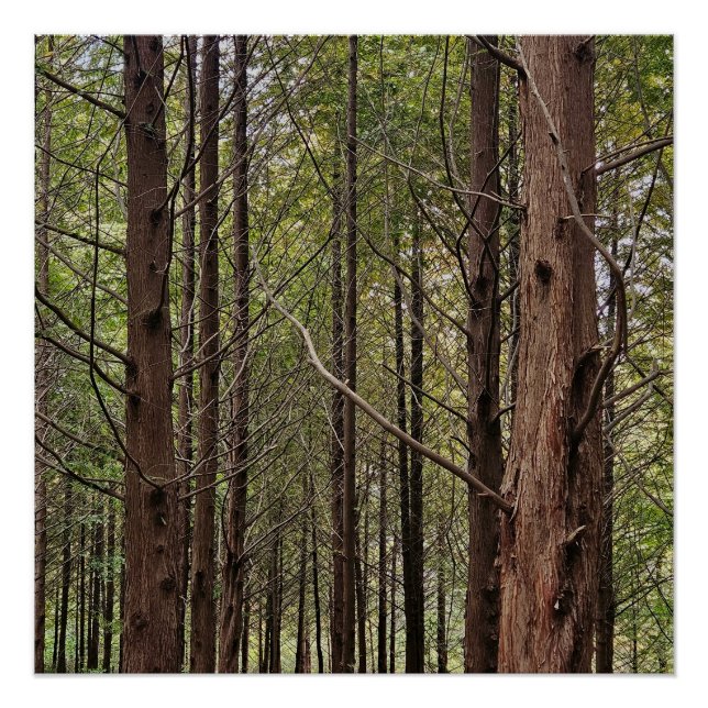 Poster When the going gets tough, the tough get going (Devant)