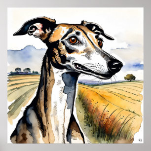 Poster Whippet Dog - Chien Art Imprimer