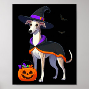Poster Whippet Halloween Witch Costume Pour Chien Adulte