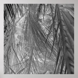 Poster Whispers Des Tropiques