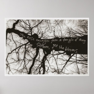 Poster Whispers nature