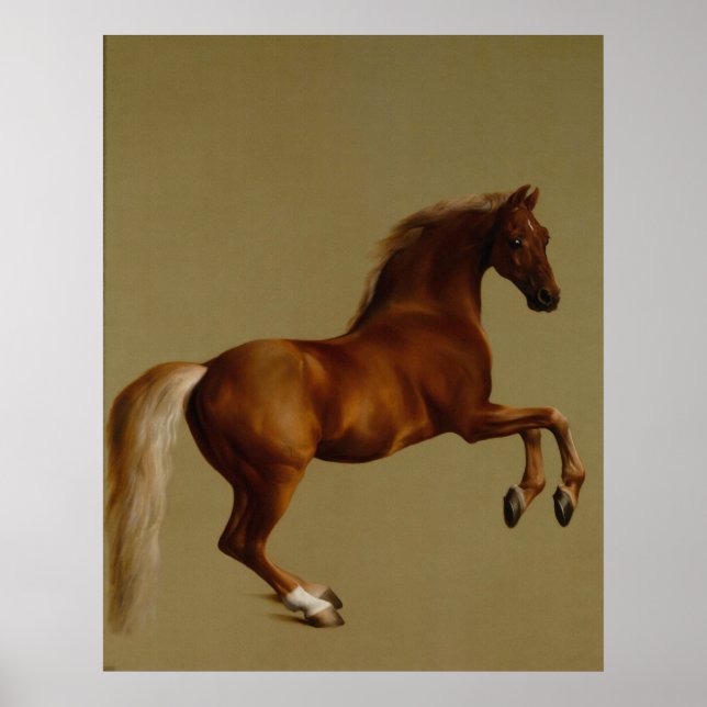 Poster Whistlejacket Race Horse par George Stubbs (Devant)