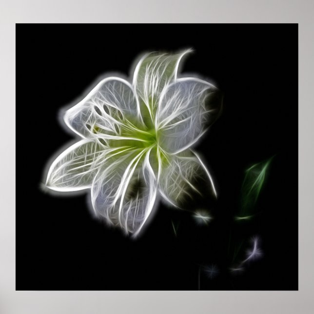 Poster white-82698 blanc fleur de lys nature beauté digit (Devant)