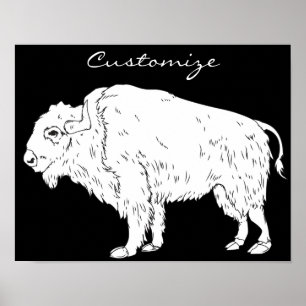 Poster White Buffalo Thunder_cove