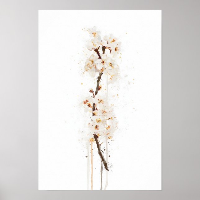 Poster White Cherry Blossom (Devant)
