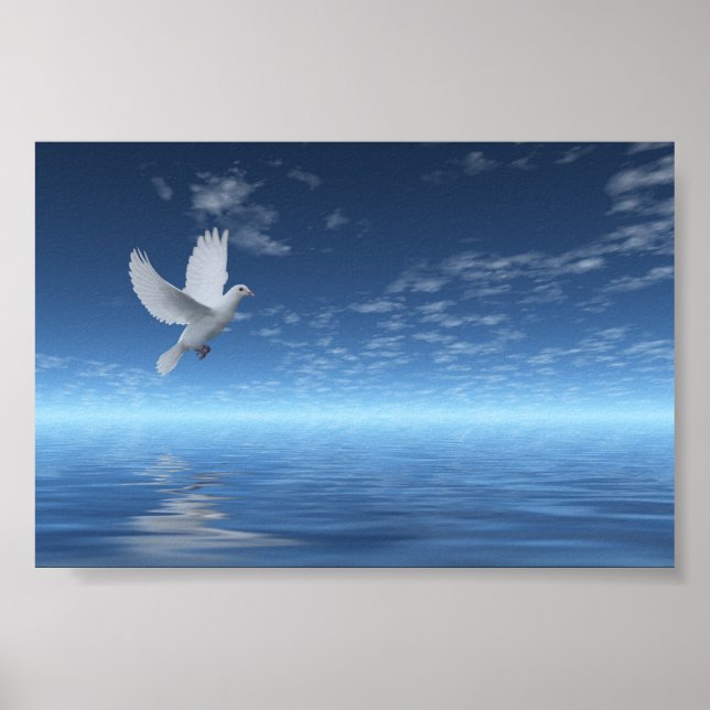 Poster White Dove (Devant)