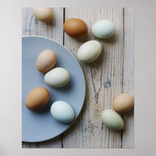 Poster Whole eggs