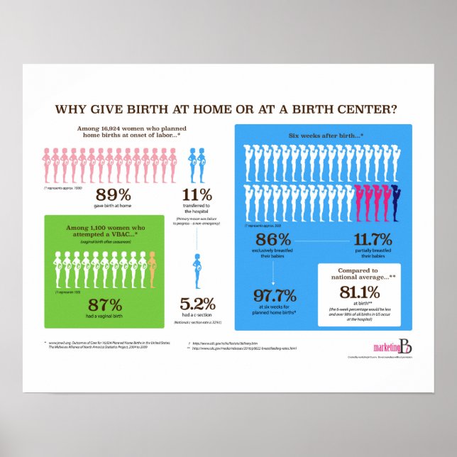 Poster Why Home Birth Infographic 20" x 16" (Devant)