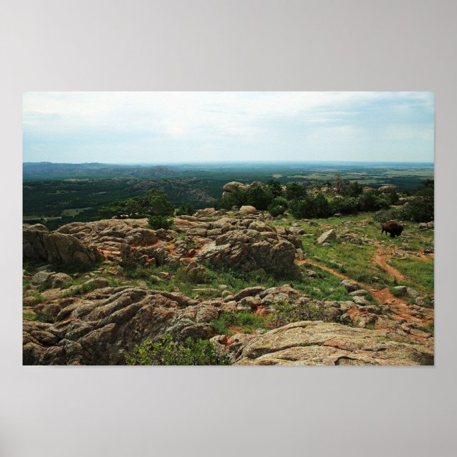 Poster Wichita Mountains Vista avec American Bison (Devant)