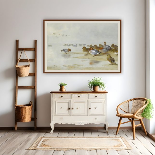 Poster Wigeon et Turquoise au bord de l'eau, Art (Créateur téléchargé)