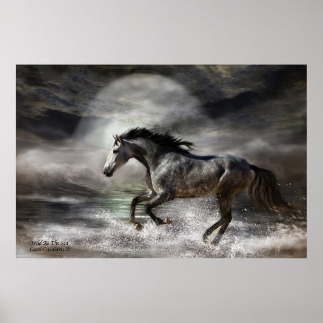 Poster Wild As The Sea Art Poster/Imprimer (Devant)
