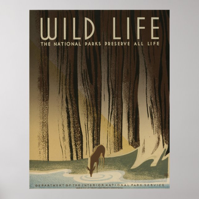 Poster Wild Life Vintage WPA (Devant)