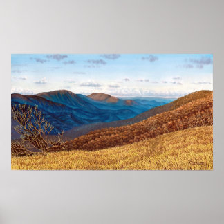 Poster Wilderness Middle Prong