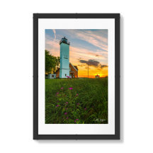 Wildflowers Beneath the Beacon