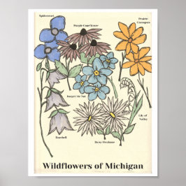Poster Wildflowers of Michigan Hand Drawn Art Print