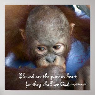 Poster Wildlife Baby : Heureux sont les purs dans le coeu