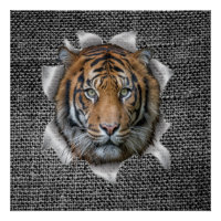 Wildlife Bengal Tiger habillé en blague