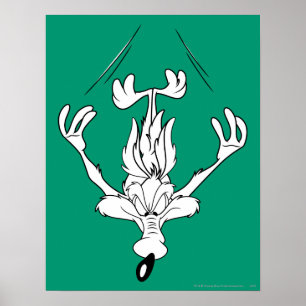 Poster Wile E. Coyote Dive Bomb