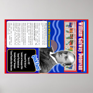 Poster William Galway Donovan Biographie