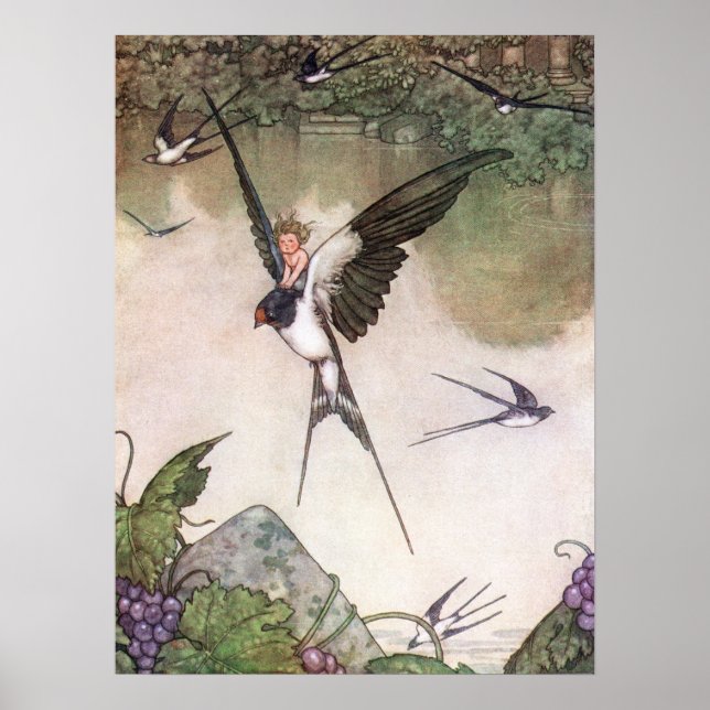 Poster William Heath Robinson - Tommelise (Devant)