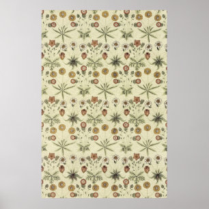 Poster William Morris
