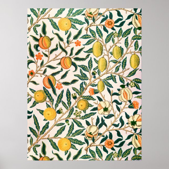 Poster William Morris Fruit grenade Ornement blanc (Devant)