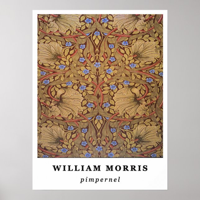Poster William Morris Pervenche (Devant)