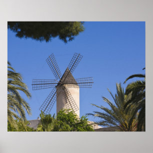Poster Windmill, Palma, Majorque, Espagne